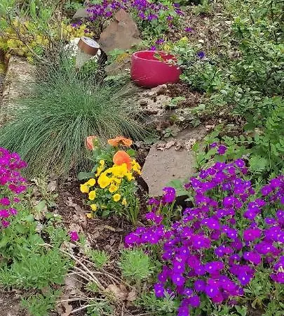 Camp Paradis בית הארחה