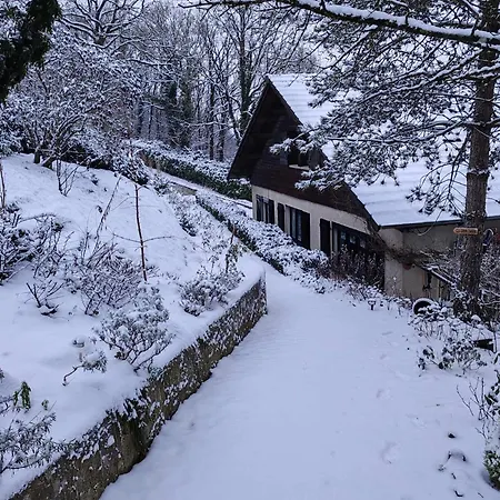 Camp Paradis בית הארחה