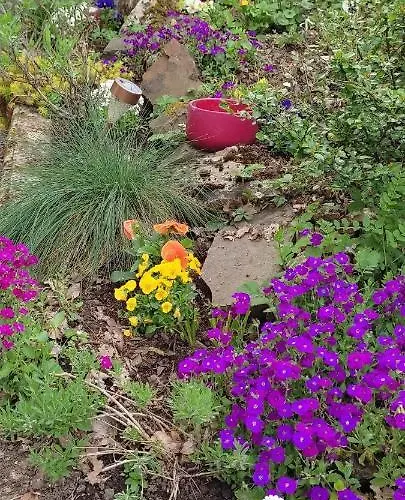 Camp Paradis Pensión